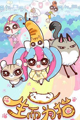 优化网站推荐a火10星平价